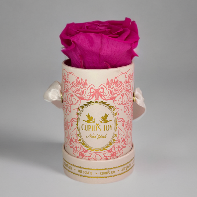 Pink rose in a decorative container with 'Cupid's Joy' branding on a gray background