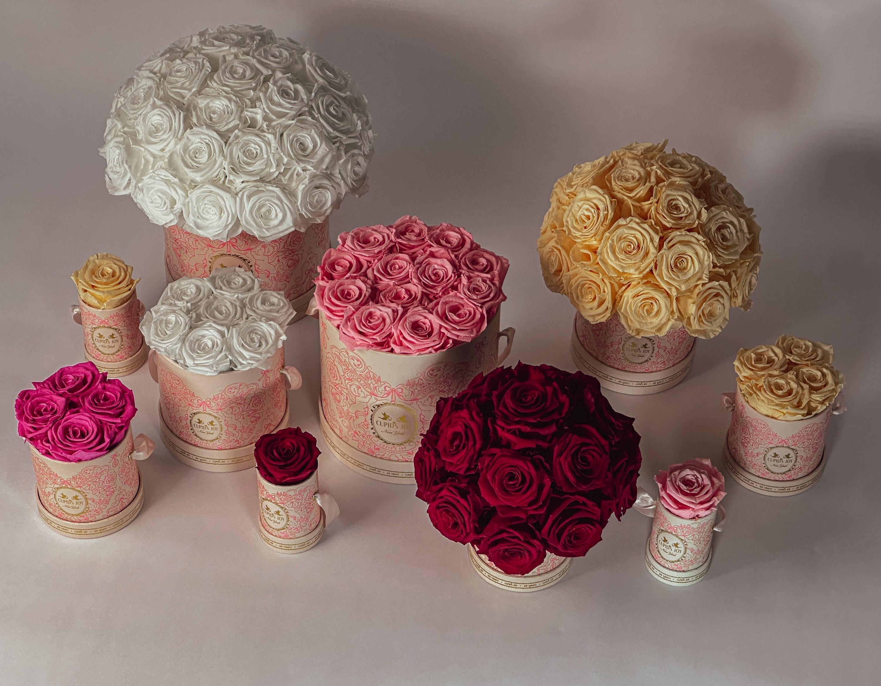 The Meaning of Rose Colors