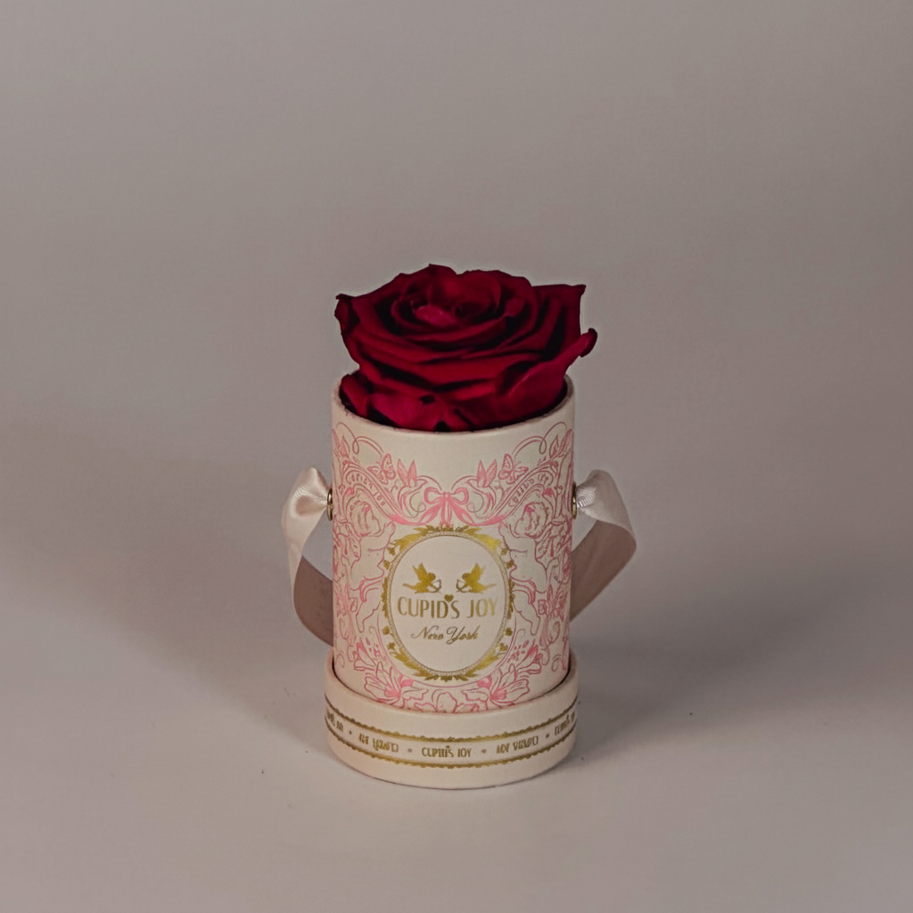 Single Red Rose by Cupid's Joy